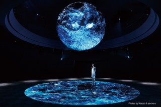 「生きているミュージアム NIFREL」が大阪にオープン－アート要素とともに生物や自然を楽しめる施設