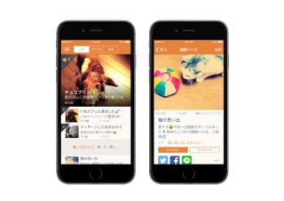 フェンリル、犬や猫の10秒動画を共有できるiPhoneアプリ「モフール」をリリース