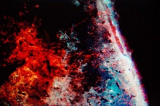 電子顕微鏡越しに見る極彩色の神経細胞がアート作品に！写真家と脳神経学者による展覧会が東京で開催