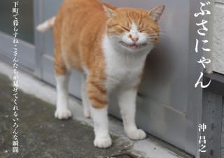 “ぶさかわいい”表情や脱力ポーズが魅力の猫の写真集「ぶさにゃん」