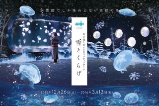 “季節を楽しむインタラクティブアート”展の第1弾「雪とくらげ」が京都水族館で開催