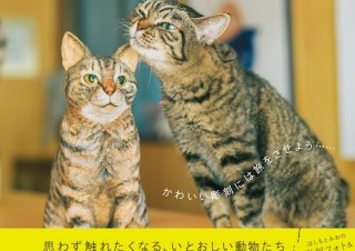 愛らしさ満点！ 動物たちと彫刻のフォトエッセイ「旅する彫刻 彫刻とそのモデルになった子の物語」 