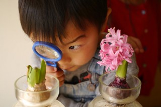 子どもの“気づきや感動の姿”の写真を募集中の“第9回「科学する心」を見つけよう”フォトコンテスト