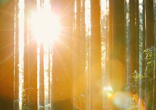 長谷康平氏の写真展「トキノコエ ─行きて、息して、生きた眼差し─」が東京など全国3カ所で順次開催