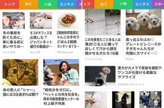 スマートニュース、開設から約3週間で「ねこチャンネル」10万人、「いぬ」は8万人