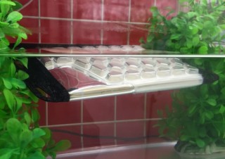 上海問屋、水に浮くスマホ用防水ケースを発売