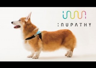 心拍解析で犬のキモチが色でわかるデバイス「INUPATHY(イヌパシー)」