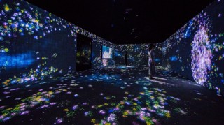 チームラボのアート作品と遊園地を1度に体験できるイベントが大阪ひらかたパークで関西初開催