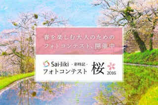 桜の美しい撮影方法なども公開中の「Sai-Jiki-彩時記-」フォトコンテスト桜2016