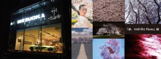 桜の開花ムードを先取り！7名の写真家が出展する「初、SAKURA Photo」展が東京で開催