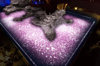 東京都のすみだ水族館で新プロジェクションマッピング「ペンギンピクニック」がスタート