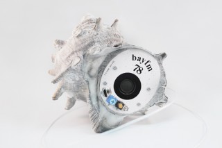 bayfm、千葉県産サザエで作ったラジオ「SAZAE RADIO」を発売