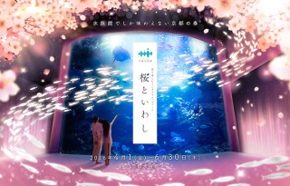 京都水族館で“季節を楽しむインタラクティブアート”の春バージョン「桜といわし」がスタート
