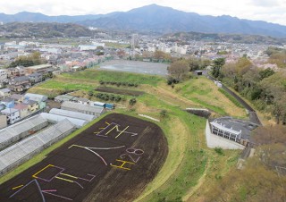 東京農業大学、厚木キャンパスで新入生を迎える「6000株の花アート」を展開