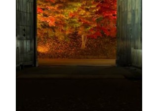 希少性が高い美しく感動的な風景写真を募集する「春夏『感動の瞬間（とき）』」フォトコンテスト