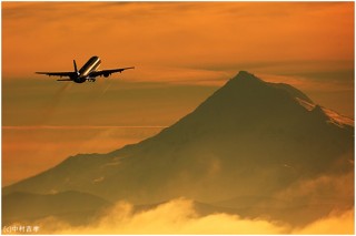 キヤノンフォトサークルで撮影ジャンル別に展開されている「部活」の写真展が東京で開催