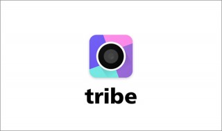 優れたUXは教科書通りだけでは創れない。「Tribe」が体現する新しいUIの起承転結