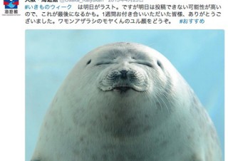 動物園や水族館からのユニーク写真を集めるTwitter「#いきものウィーク」