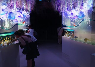 アクアパーク品川で“和モダン”も感じさせる春夏の空間演出イベント「HaNa-Bi aquarium」がスタート