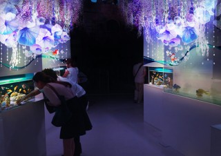 アクアパーク品川で“和モダン”も感じさせる春夏の空間演出イベント「HaNa-Bi aquarium」がスタート
