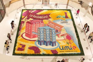 約40万本のチューリップによる“花絵”が神戸を彩る「インフィオラータ こうべ2016」