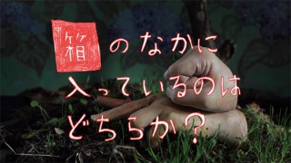 ハッカソンで生まれたアーティスト複合チームの個展「箱のなかに入っているのはどちらか？」が東京で開催