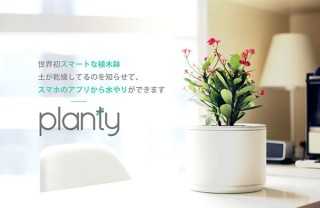 世界初、スマホで育てるIoTプランター「planty」誕生！誰でも簡単に育てられる植木鉢
