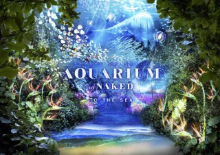 大型リゾート施設「ネスタリゾート神戸」で五感を通して楽しめるオープニングイベントがスタート