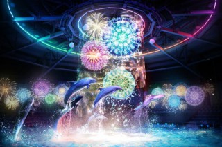 水の幕と投射映像を駆使したイルカパフォーマンスなどを楽しめるアクアパーク品川の「花火アクアリウム」