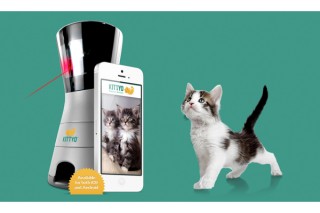 愛猫をスマホでリモート監視しながら一緒に遊べる！猫用グッズ「KITTYO」が発売