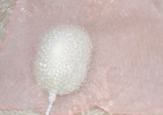 サンコー、超音波でどこでも洗濯できるUSB洗濯機「ウォッシュブル」を発売