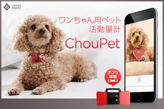 ロア・インターナショナル、愛犬の健康状態の把握に役立つペット用の活動量計「ChouPet」を発売