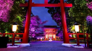 世界遺産の参道を光のアート空間にしたチームラボ作品を楽しめる「下鴨神社 糺の森の光の祭」が開催