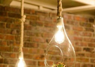 スワン電器、電球の中で植物を咲かせたボタニカル照明インテリア「BOTANIC SERIES」を発売