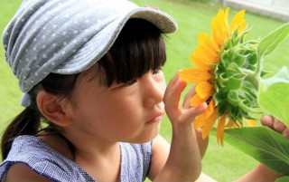 「第9回『科学する心』を見つけよう フォトコンテスト」の入選作品を集めた写真展が開催