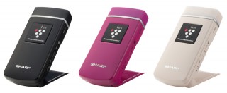 シャープ、美肌効果も期待できる手のひらサイズのイオン発生機「IG-CM1」