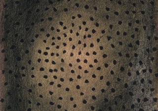 草間彌生氏など4人の女性アーティストに焦点を当てた展覧会が東京と大阪で開催