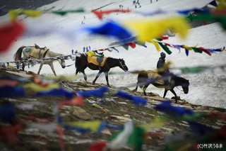 竹沢うるま氏がチベット文化圏の旅で撮影した作品を展示する写真展「Kor La」がスタート