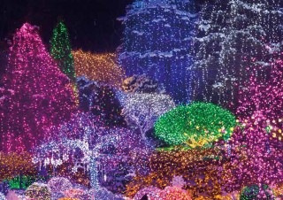 光の美しさを詰め込んだ「世界のきらめくイルミネーション」発売。秋の夜長に眺める色鮮やかな世界