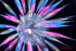 独学で写真の技術を学び独自の手法で打ち上げ花火を撮影し続けている金武武氏の「花火写真展」