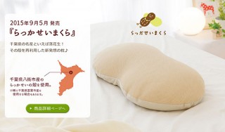 千葉らっかせい枕やさくらんぼ種枕などのまくら株式会社、「ご当地まくらWEB」を全国展開