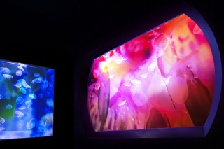 すみだ水族館で蜷川実花氏の作品とクラゲの新たなコラボレーション展示がスタート