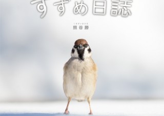 小さなからだが可愛らしい「すずめ日誌」発売。愛さずにはいられないすずめたちの写真集