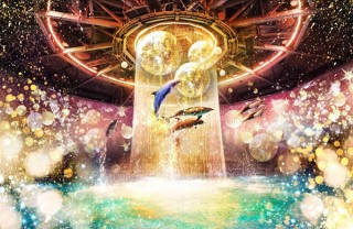 アクアパーク品川でクリスマスをイメージした星屑イルミネーション×イルカパフォーマンスが開始