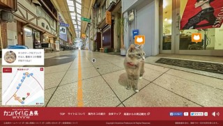 地上15cmの猫の目線を疑似体験できるデジタルマップ「広島Cat Street View-尾道編-」