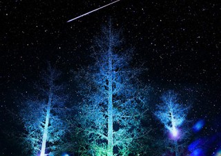 流れ星とイルミネーション演出を連動させるプロジェクト「NIHONBASHI-願いの森」
