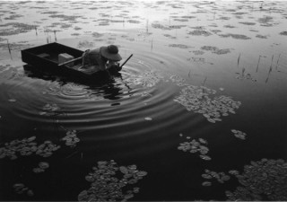 酉年の2017年に年男となる写真家・公文健太郎氏の展覧会「耕す人」が開催