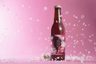 天下第一の桜を使用したビール「サンクトガーレン さくら」発売！苦みを抑えた桜餅風味の華やかなデザイン