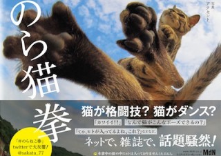 カンフー修行！？ ダンスを披露！？ 華麗なる猫の動きに癒される「のら猫拳」