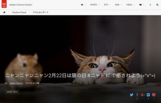 2月22日は猫の日！Adobeがネコ画像の特集を公開してTwitterで「ニャドビ」キャンペーンも実施